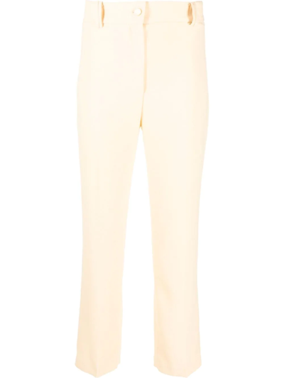 Hebe Studio Tailored High-waisted Trousers In Yellow