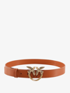 Pinko Belt In Brown