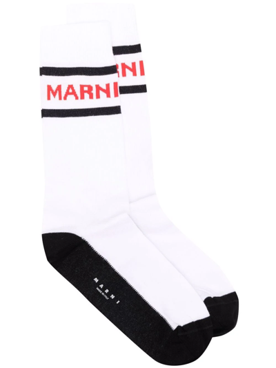 Marni Striped Logo-intarsia Socks In White