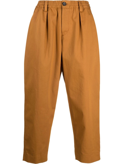 Marni Cropped Cotton Gabardine Pants In Brown