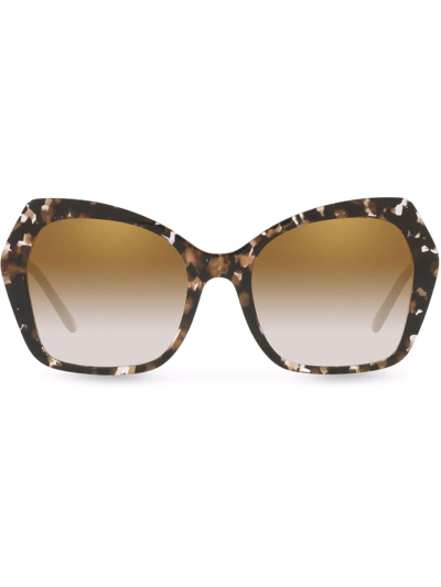 Dolce & Gabbana Sicilian Taste Sunglasses
