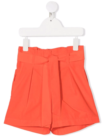 Bonpoint Teen Belted High-waisted Shorts In Orange