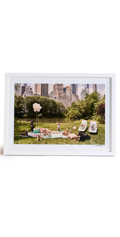 Gray Malin Picnic Party In Central Park In Multi