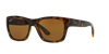 Ray Ban Ray In Polar Braun
