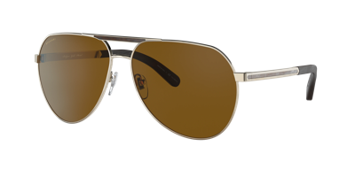 Bvlgari Man Sunglasses Bv5055k In Polar Dark Brown