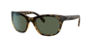 Ray Ban Ray In Dunkelgrün
