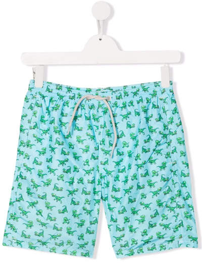 Mc2 Saint Barth Teen Dinosaur-print Swim Shorts In Blue