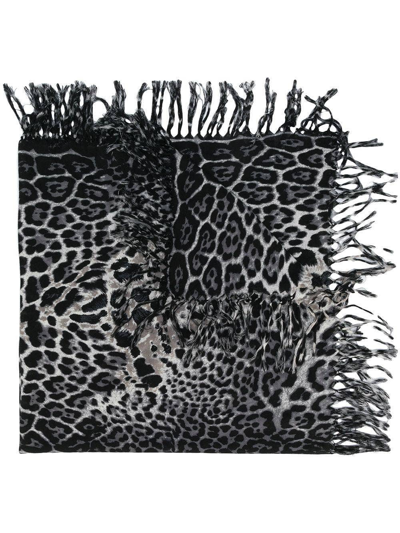 Saint Laurent Leopard Print Scarf In Black