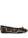 Dolce & Gabbana Leopard-print Ballerina Shoes In Braun