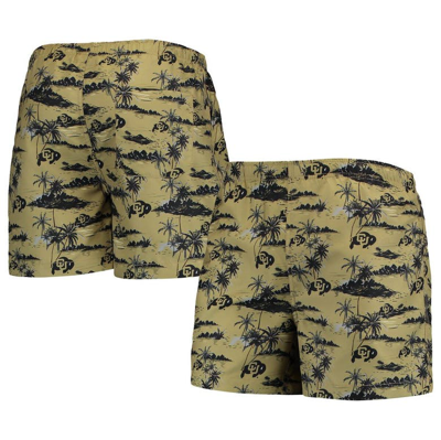 Foco Gold Colorado Buffaloes Island Palm Swim Trunks