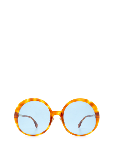 Fendi Ff 0430/s Brown Havana Female Sunglasses | ModeSens