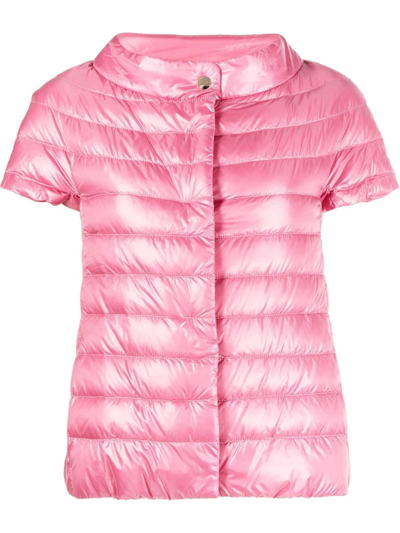 Herno `margherita` Padded Jacket With Short Sleeve In Rosa