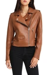 Belle & Bloom Just Friends Leather Moto Jacket In Brown