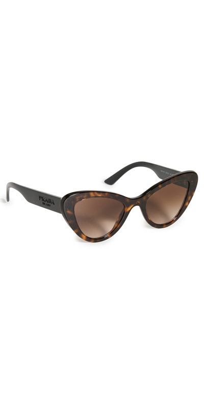 Prada Women's 52mm Cat Eye Sunglasses In Brown