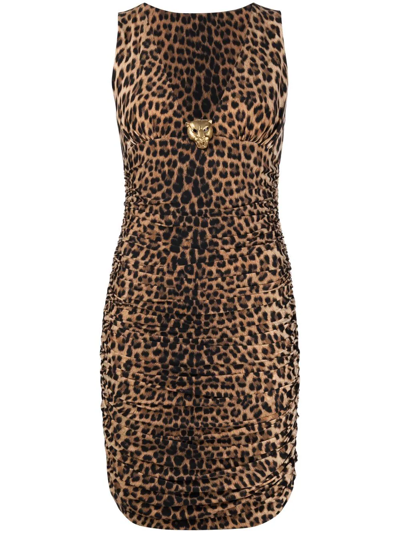 Roberto Cavalli V Neck Leopard Print Mini Dress In Brown