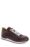 TOD'S 'ALLACCIATO' SNEAKER,XXM0YM0R360DVRS800