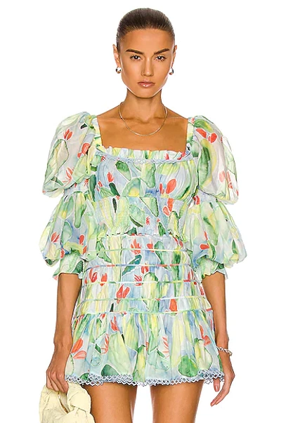 Charo Ruiz Brisa Cropped Shirred Floral-print Cotton-blend Top In Barbary Print