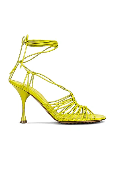 Bottega Veneta Dot Lace Up Sandals In Kiwi