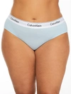 Calvin Klein Plus Size Modern Cotton Hipster In Rain Dance