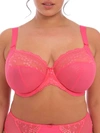 Elomi Charley Side Support Plunge Bra In Honeysuckle