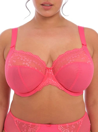 Elomi Charley Side Support Plunge Bra In Honeysuckle