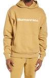 Adidas Originals Adidas X Pharrell Williams Humanrace Hoodie In Golden Beige