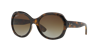 Ray Ban Ray In Polarized Brown Gradient