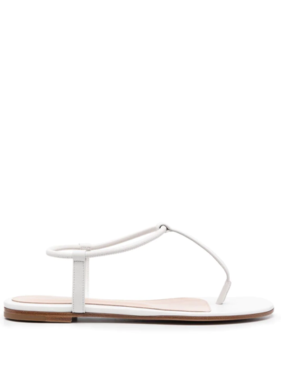 Gianvito Rossi Jaey Leather Thong Sandals In White