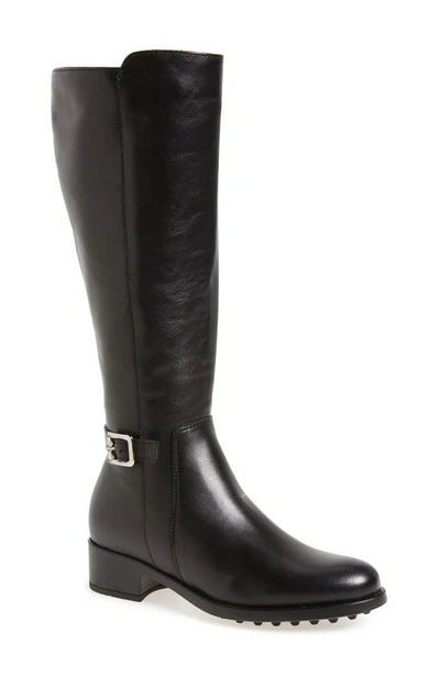 La Canadienne Silvana Waterproof Riding Boot In Black Leather