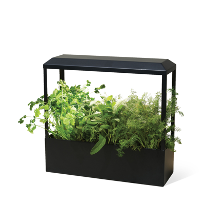 Modern Sprout Smart Growhouse In Matte Black