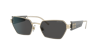 Miu Miu Woman Sunglasses Mu 53ws In Dark Grey