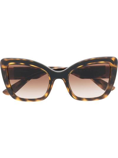 Dolce & Gabbana Oversize Cat-eye Sunglasses In Brown