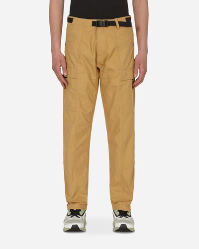 The North Face Ripstop Cargo Easy Pants In Brown