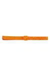 Adidas Originals X Ivy Park Logo Web Belt In Solar Orng/semisolar Orange