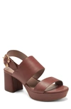 AEROSOLES CAMERA PLATFORM SANDAL