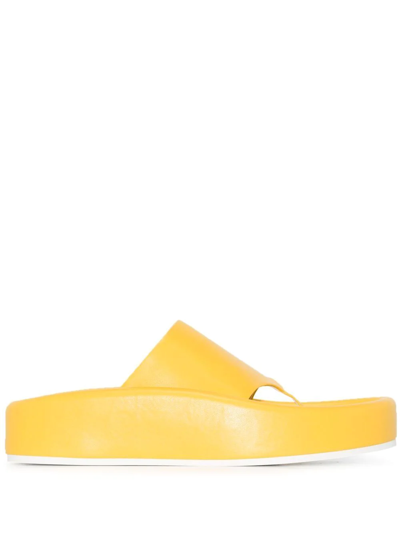 Mm6 Maison Margiela 宽袢带人字拖 In Yellow