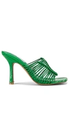 Steve Madden Bonds Sandal In Green
