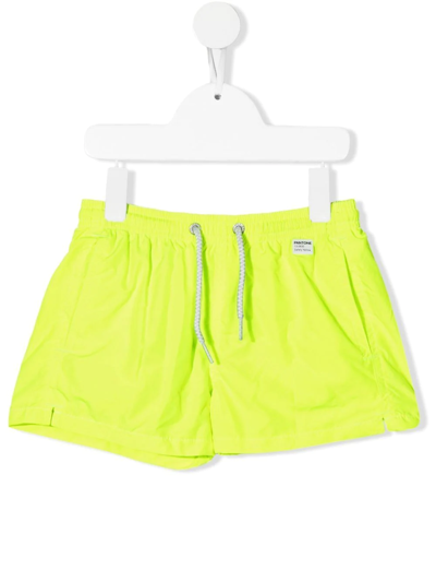 Mc2 Saint Barth Kids' Drawstring-fastening Waist Shorts In Yellow