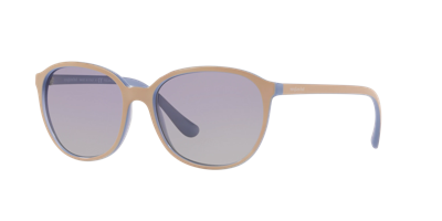 Sunglass Hut Collection Woman Sunglasses Hu2003 In Purple