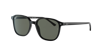 Ray Ban Ray In Polarized Green Classic G-15