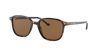 Ray Ban Ray In Polarized Brown Classic B-15