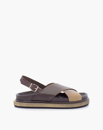 Mw Alohas Leather Marshmallow Sandals In Brown