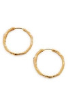 Monica Vinader Gold Siren Muse Medium Hoop Earrings In Gp