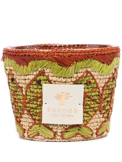 Baobab Collection Toliary Scented Candle (500g) In Green