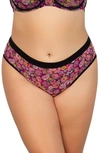 Curvy Couture Sheer Mesh High Cut Briefs In Retro Roses