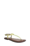 Sam Edelman Gigi Sandal In Kiwi