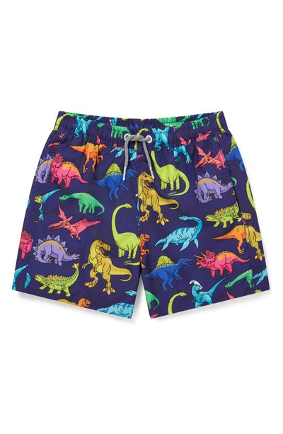 Boardies Kids Vibrant Dino Printed Shell Swim Shorts In Multicoloured