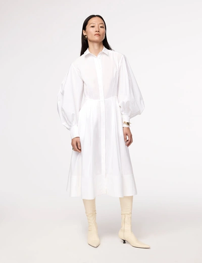 Another Tomorrow Seamed Waist Shirt Dress In White