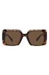 Versace Woman Sunglass Ve4467u In Havana/ Dark Brown