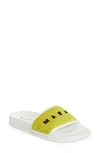 Marni 10mm Raffia Effect Slide Sandals In Lime/ Lily White